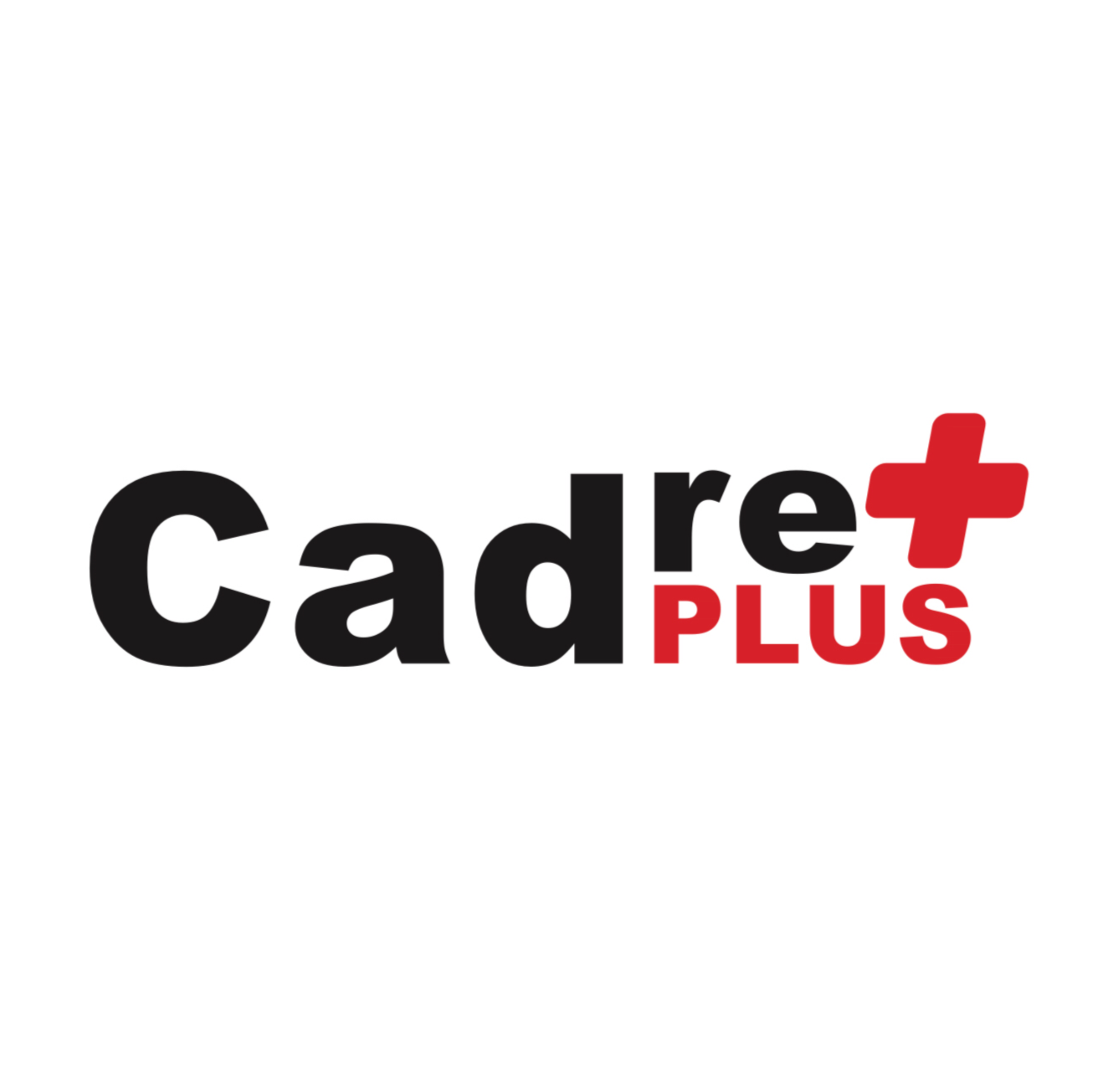 Cadre Plus